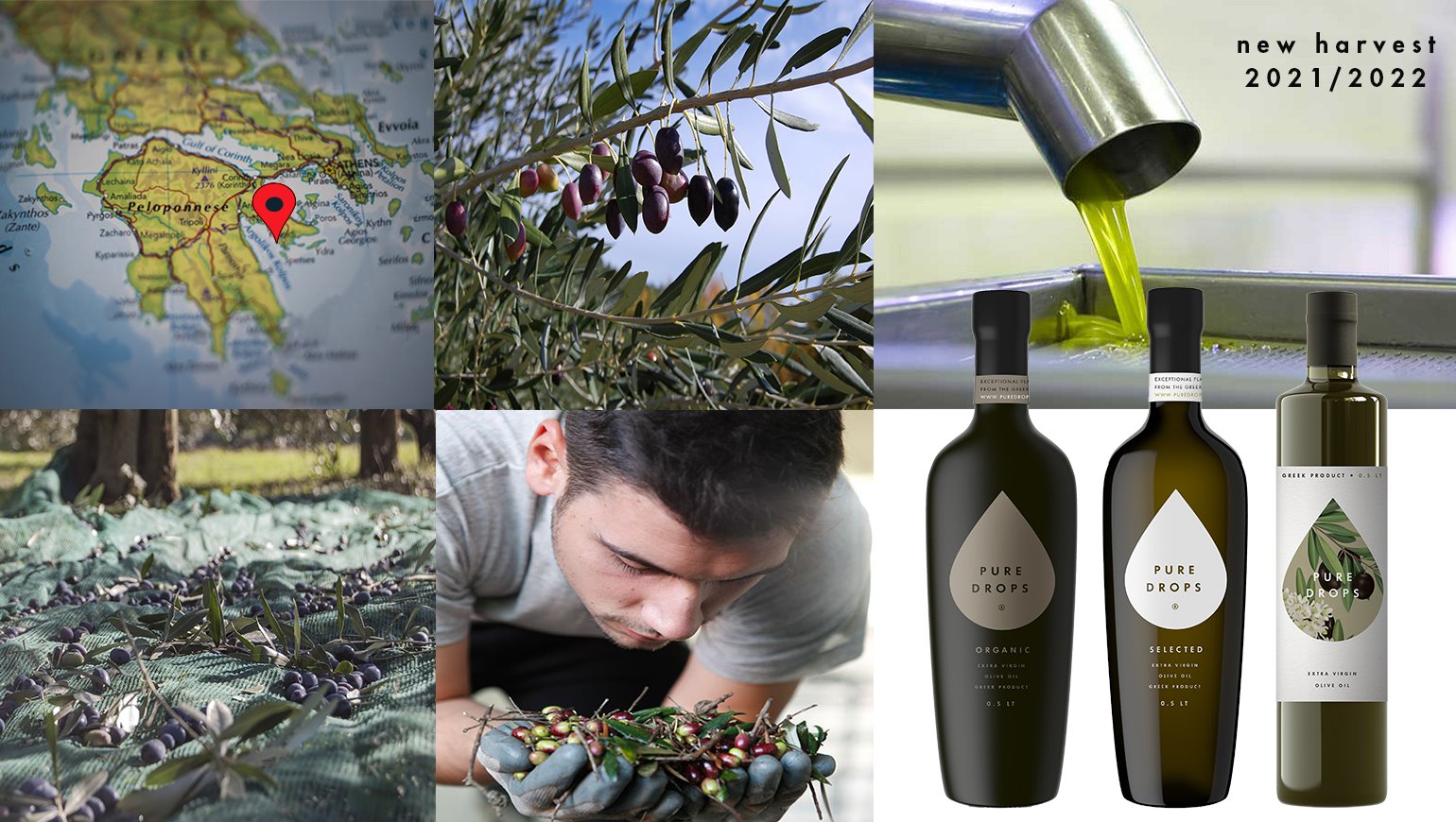The new olive oil harvest 2021/2022 begins